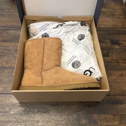 Brand New Uggs Men Classic Short