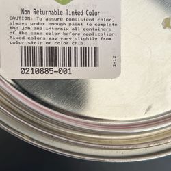 Custom Paint 