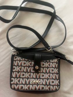 Mini dkny purse