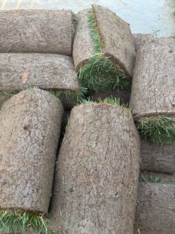 Natural grass 14 rolls