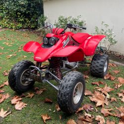 Vehicle - Motorcycle 