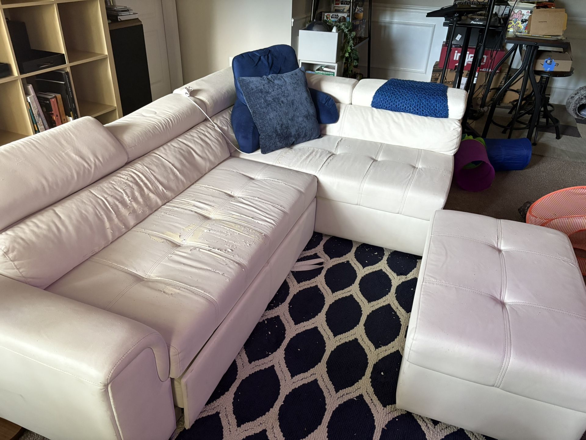 Sleeper Sofa & Ottoman