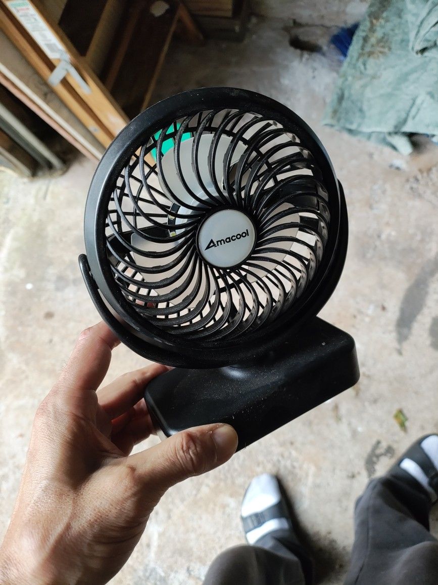 Fan