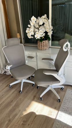 Twin Ergonomic Computer chair (2)