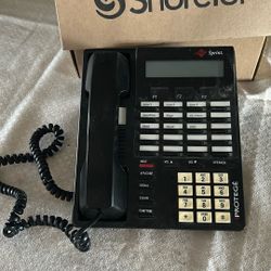 Protege Sprint Office Phone 