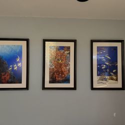 7 Gorgeous Brightly Colored Saltwater Fish Custom Framed Wall Art