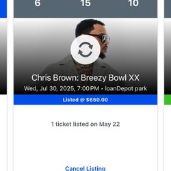 Chris Brown Concert Ticket