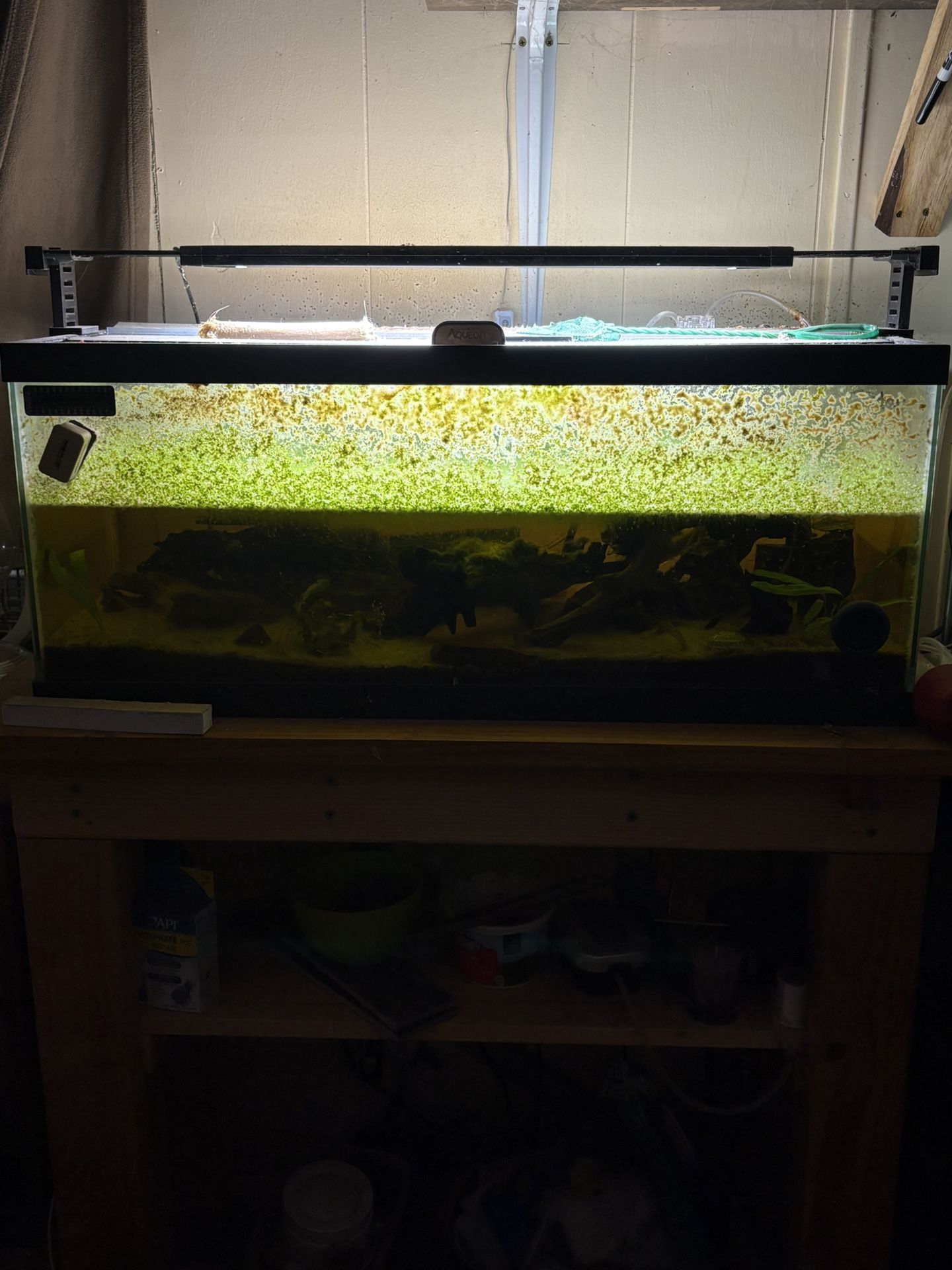 2 Full 20L Set Ups
