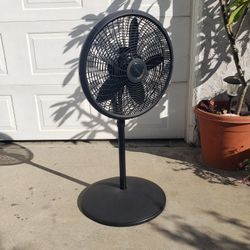 Fan