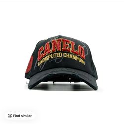 Canelo X Dandy