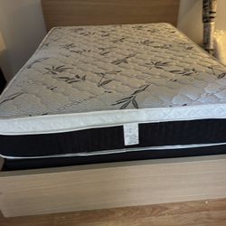 Queen Mattress New