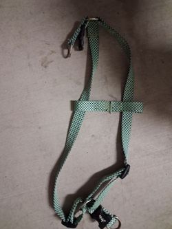 Green dog harness