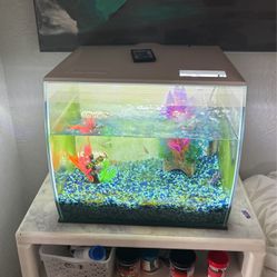 FREEEEE Fish and Fish Tank 
