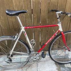 Single Speed Lightweight Bike Roadready 5’10 Shogun Oldschool Rebuild 