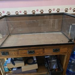 20 Gallon Reptile Tank