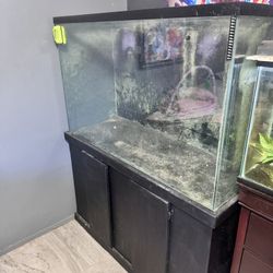 110 Gal Fish tank