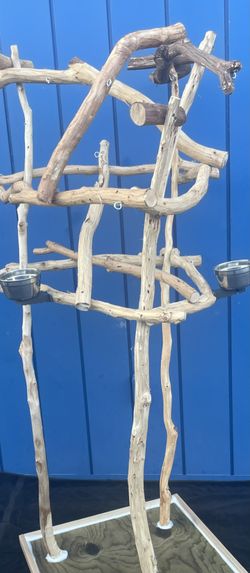 Macaw / Large Parrot Perch Tree … Hard Durable Ribbon Wood 🪵.,, Lasts For Years … Lots Of Macaw Love ❤️