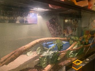 Aquarium 4x1x2
