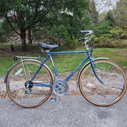 Brittany Free Spirit Te12 Vintage Bicycle