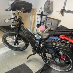 Electric Bike RadRover