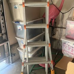 Little Giant Ladder System