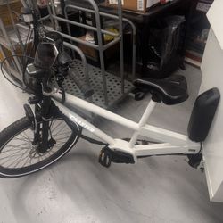 DELIVERY E BIKE [BOSCH] (Mint Condition)