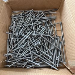40D Galvanized Nails