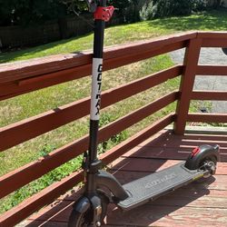GoTrax G4 Scooter 