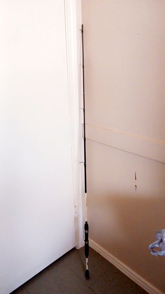 Fishing Rod- Broken Tip. $15