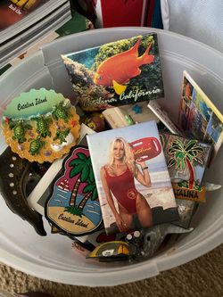 Catalina Island Souvenir Fridge Magnets Collection