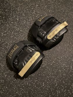 Everlast punching mitts