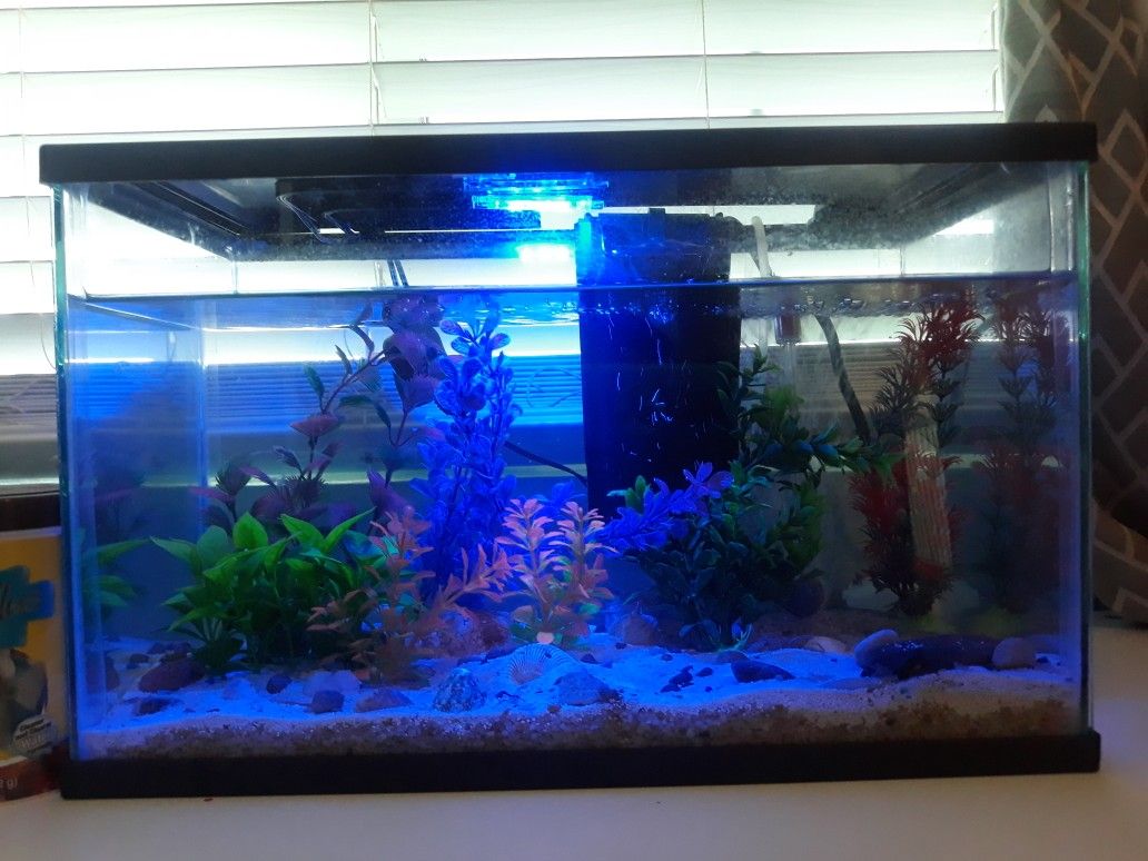 Fish Tank With Filter And Decorations 