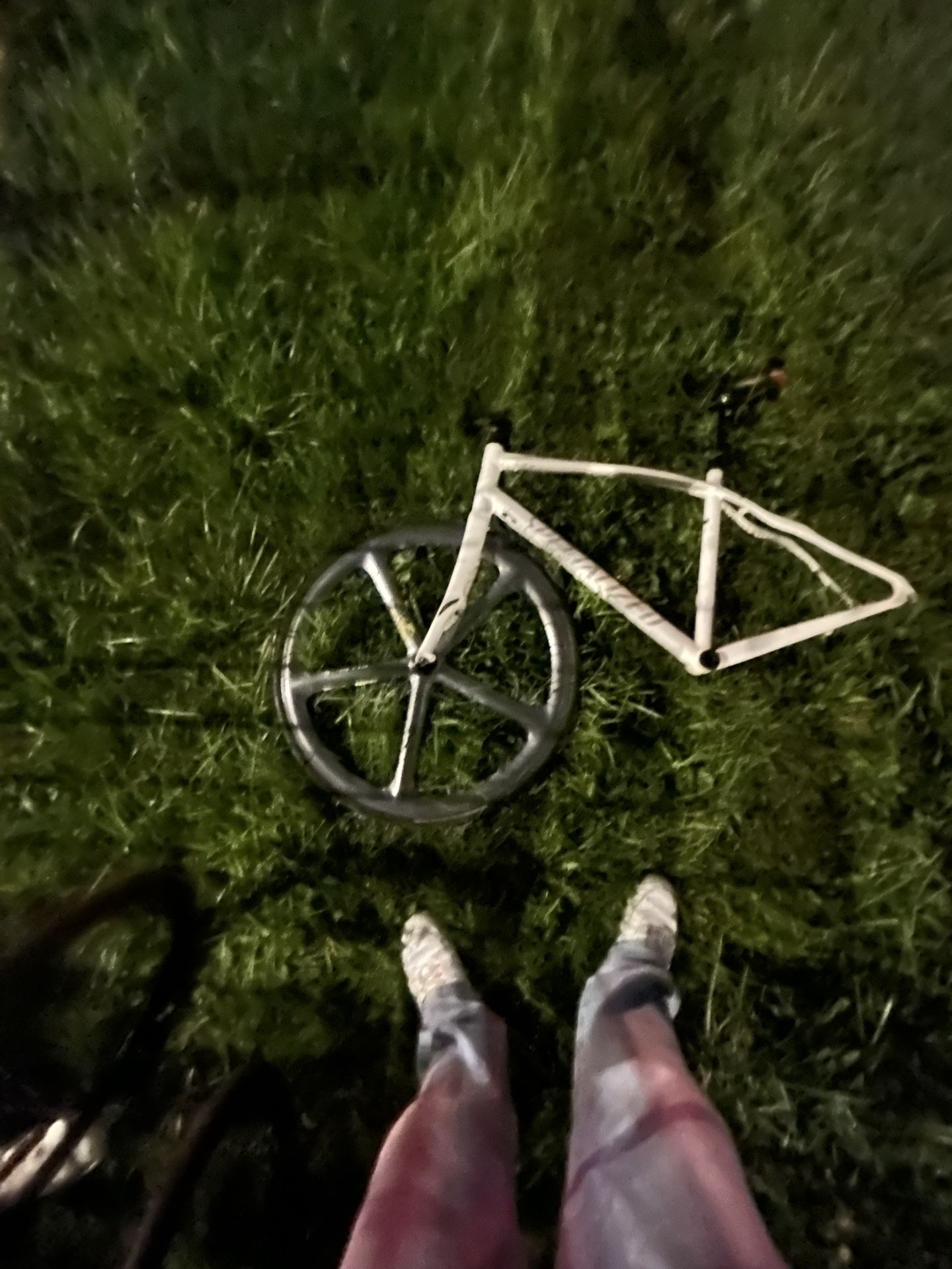 specialized bikes