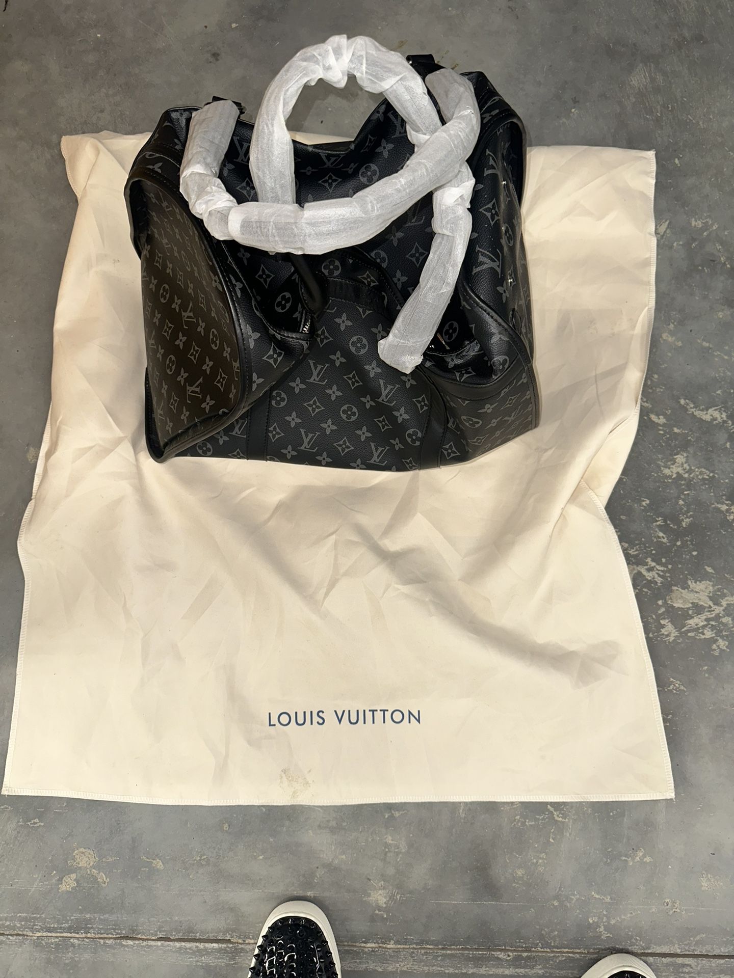 Louis Vuitton Dog Carrier