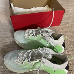 New In Box Reebok Zig Kinetica II