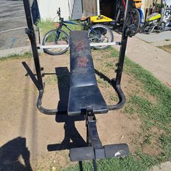 Weight Bench
