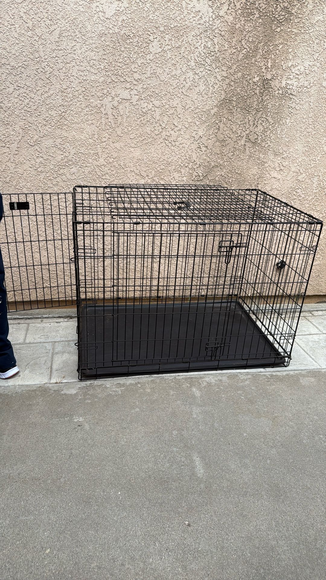 Big Dog Caged