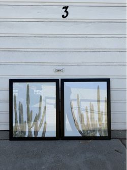 Framed Cactus Prints (Set of 2)