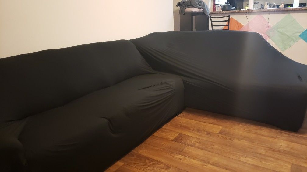 Free Sectional Couch 