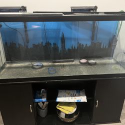 120 inch Fish Tank For Sale