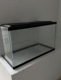 10 Gallon Aquarium Starter Kit