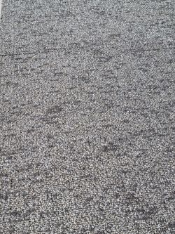 Carpet tiles 2 x 2  600sq ft