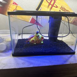 Fish Tank