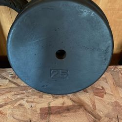 25 Pound Weights