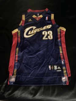 LeBron James Jersey