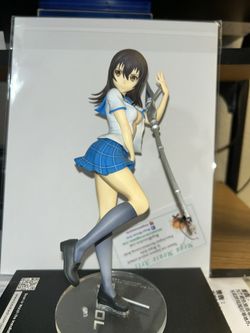 Himeragi Yukina ( Strike The Blood) 