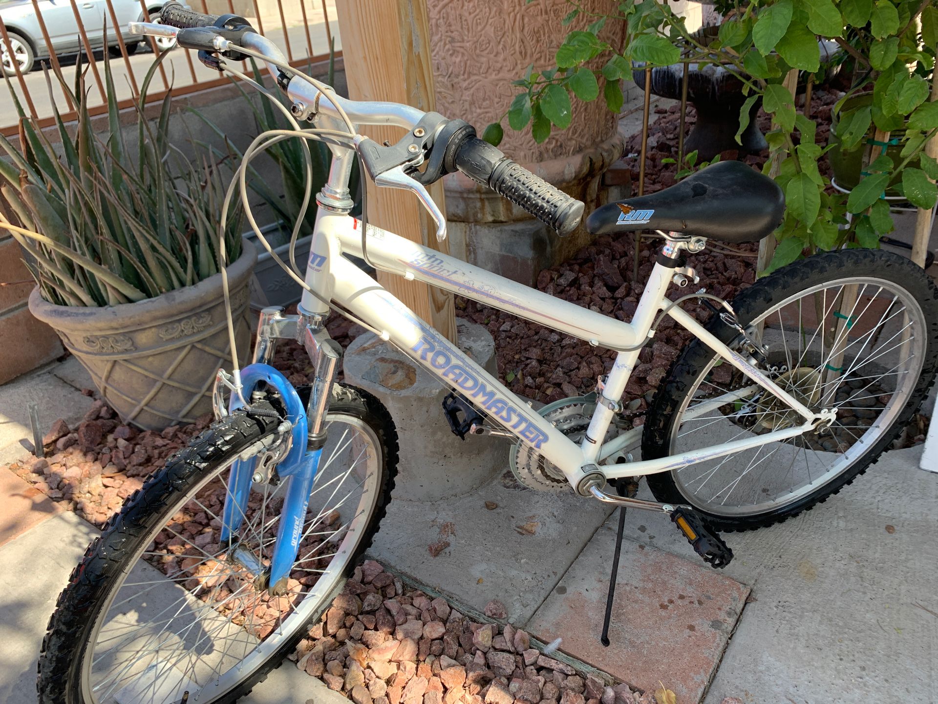 Road master mountain bike