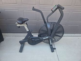Rogue Echo Bike