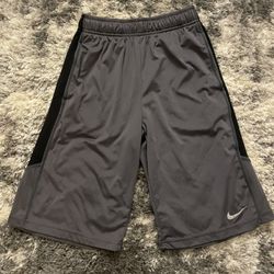 Nike Men’s Shorts Size Large