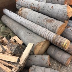 Free palm tree trunks great to carve Tikis DIY projects